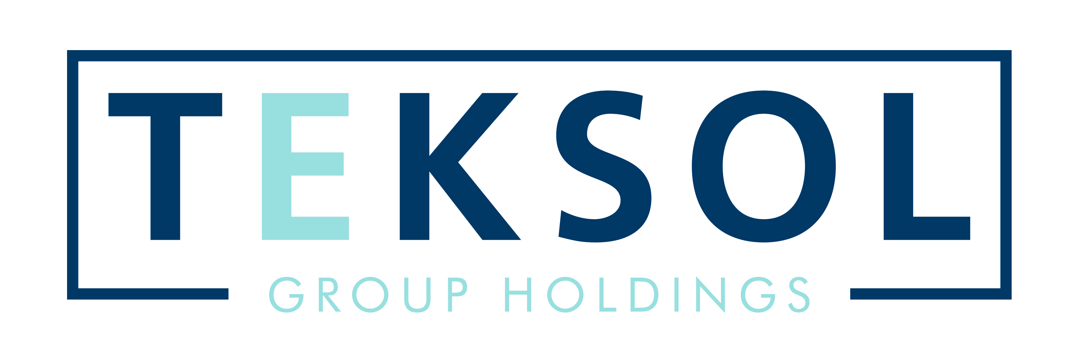 TEKSOL GROUP SOLUTIONS Overview
